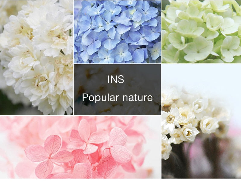 50% OFF  Car Air Freshener Flower Bottle Perfume Pendant*